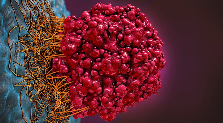 Renderización 3D de células cancerosas