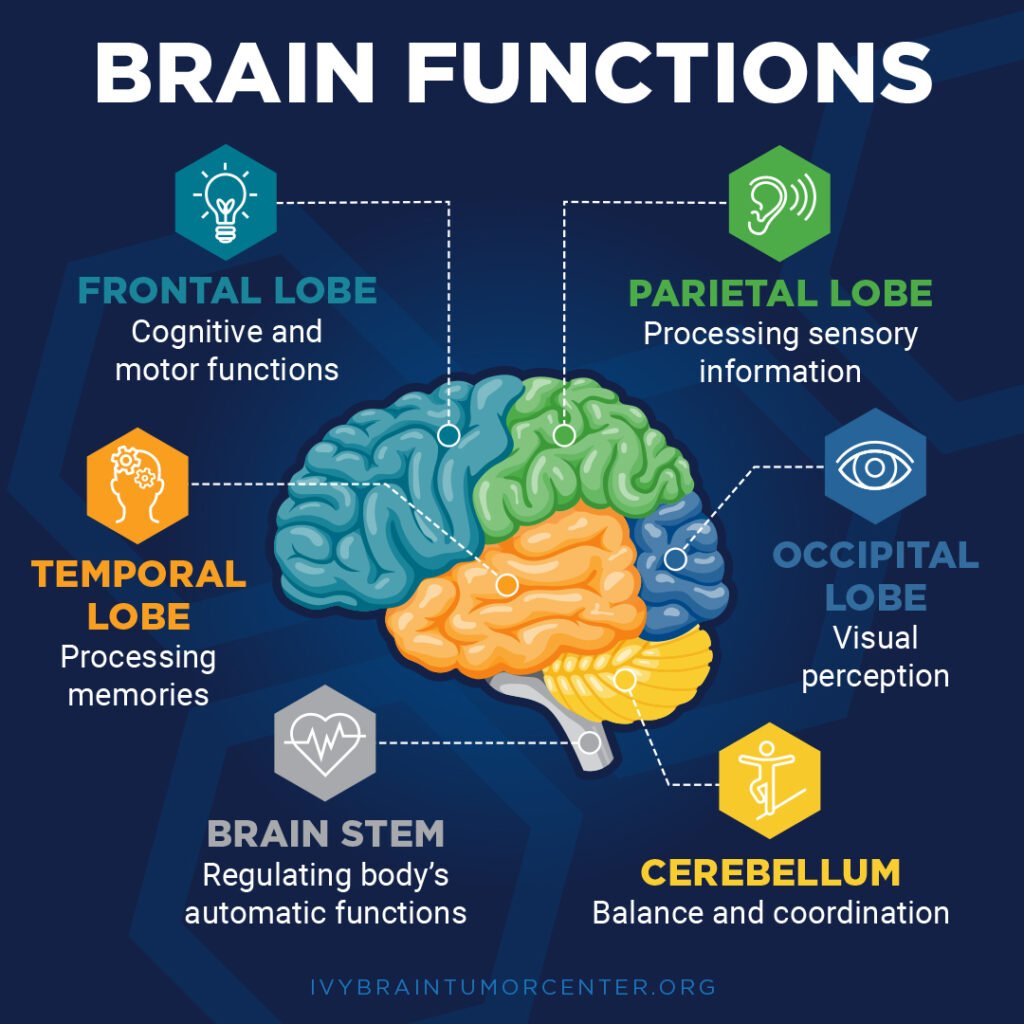 In Arizona, The Fight Against Brain Cancer is Personal   Ivy Brain ...